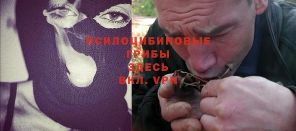 твердый Арсеньев