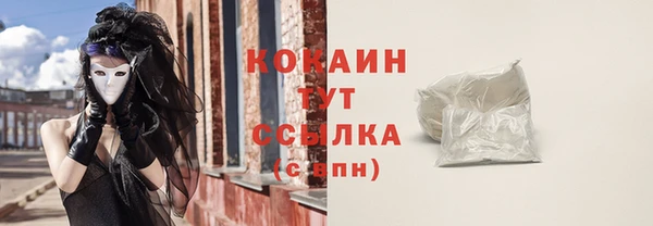 твердый Арсеньев