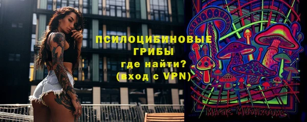 твердый Арсеньев