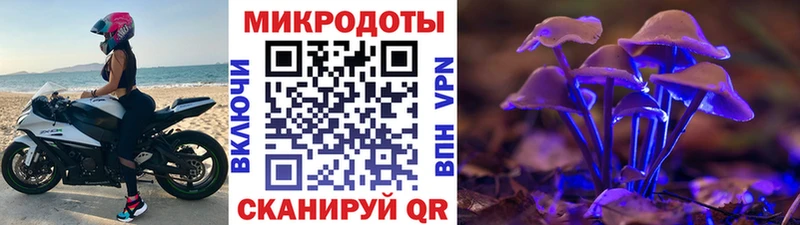 как найти закладки  Байкальск  Псилоцибиновые грибы Magic Shrooms 
